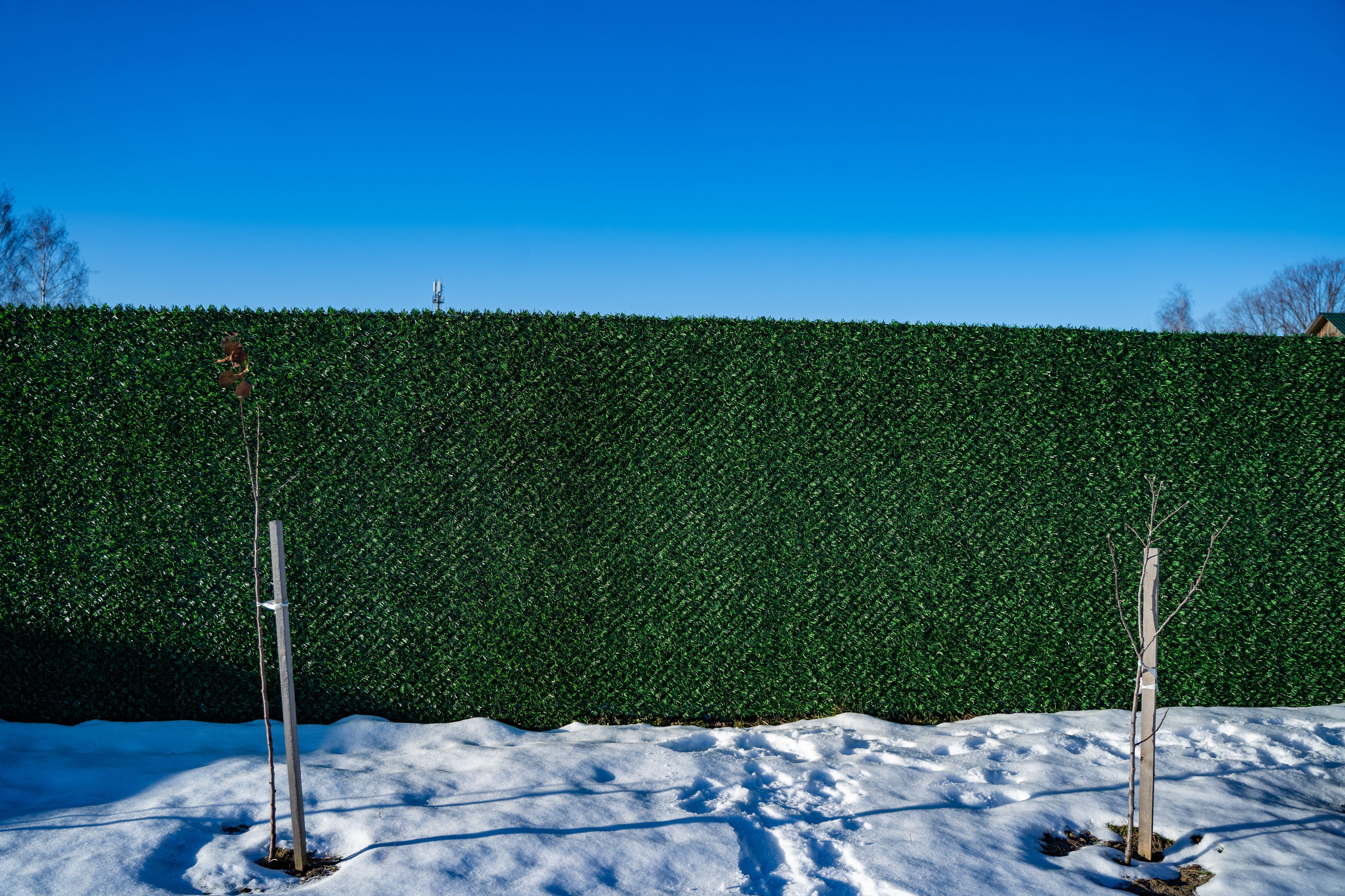 Вечнозеленый забор Grass Fence рулон 2м фото 8 в Выборге