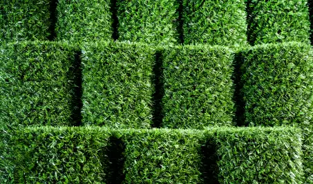 Нужен бесплатный расчет забора Grass Fence из искусственной травы в Выборге?