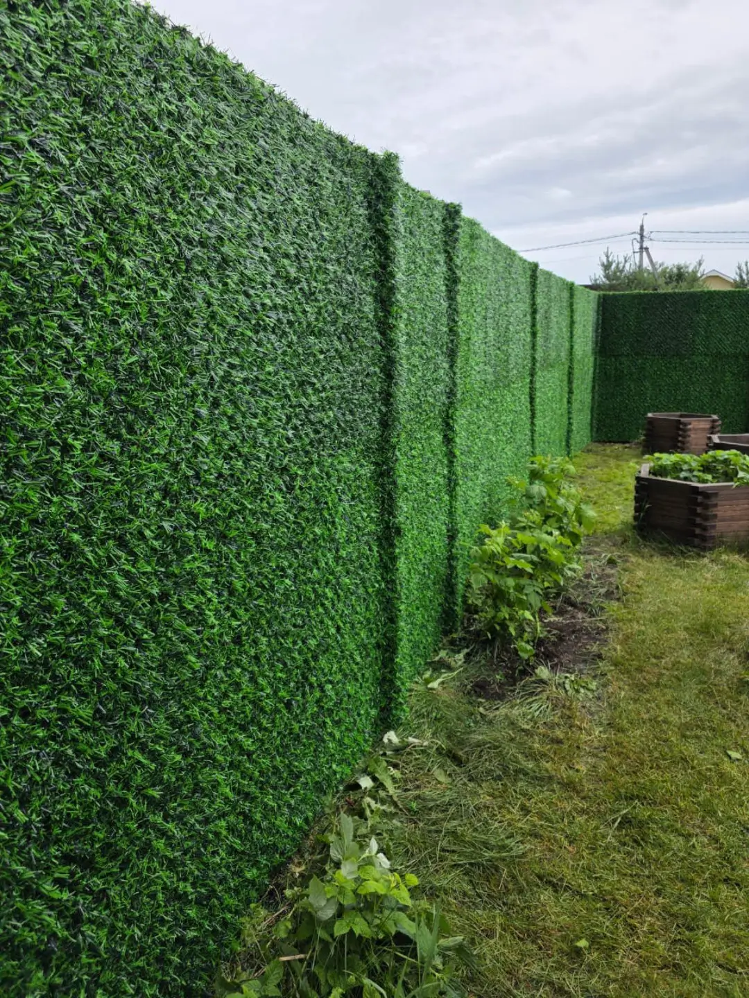 Вечнозеленый забор Grass Fence 37м фото 1 в Выборге